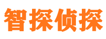 莘县外遇调查取证